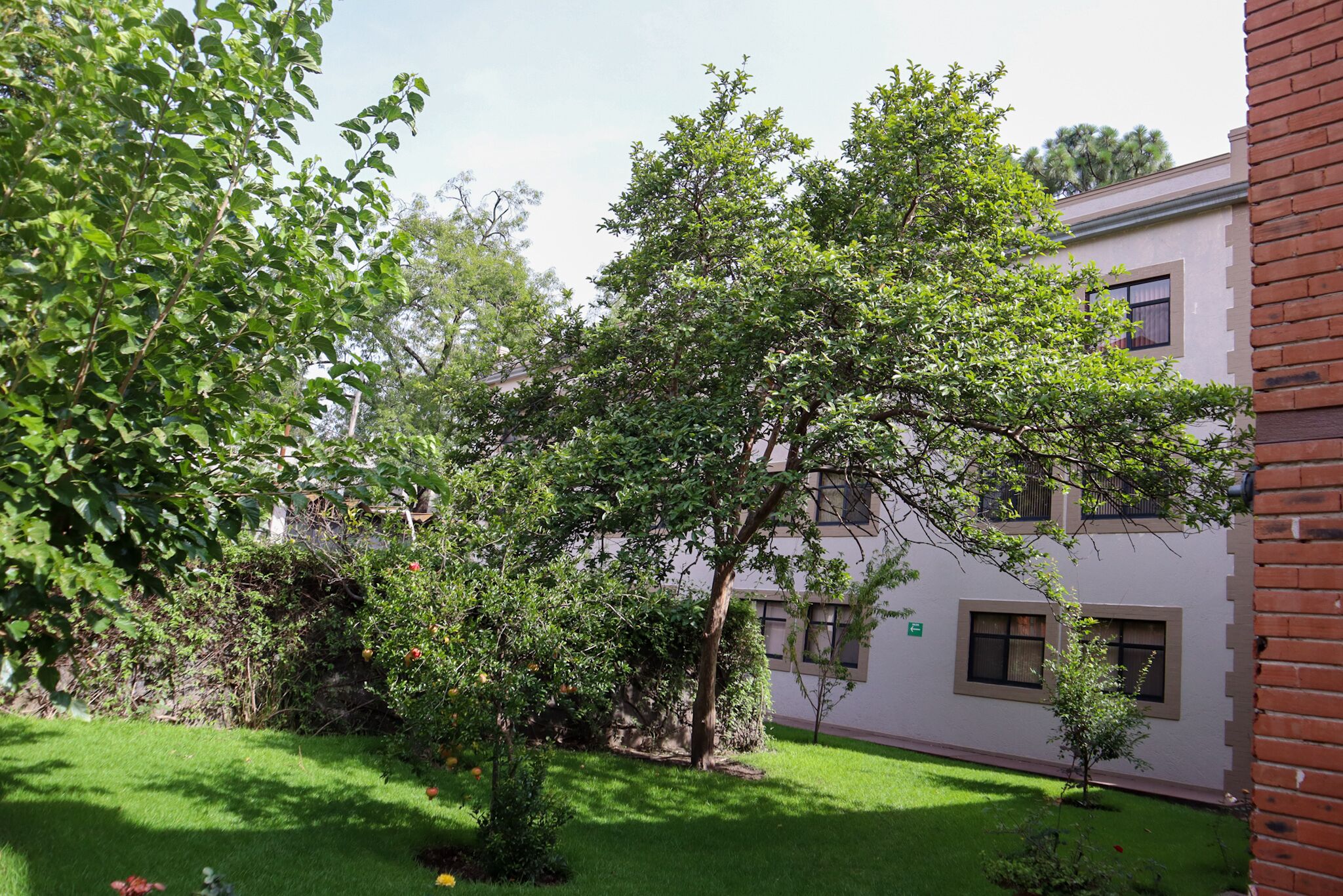 Foto - Hotel Express Quinta Soledad