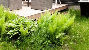 Et moderne hus med en overdækket terrasse, udendørs møbler og en grill.