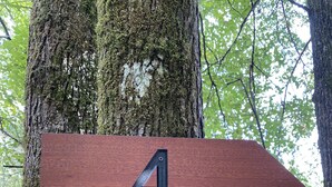 Ein Holzschild mit der Nummer 4 und dem Schriftzug 'Deer Track', das nach rechts weist.