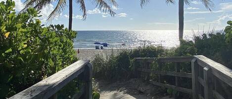 On the beach, sun loungers, beach towels