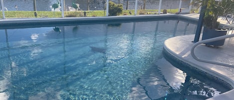 屋外プール、温水プール