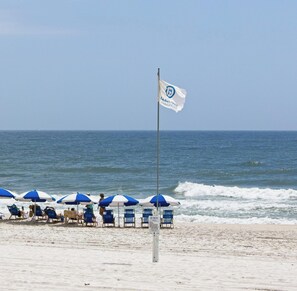 Une plage bordée de rangées de parasols bleus et blancs et de chaises longues, tous orientés vers l’océan.