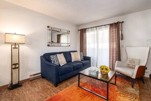 Smart TV, chimenea, libros