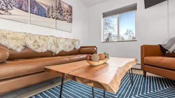 Smart TV, fireplace, books, stereo