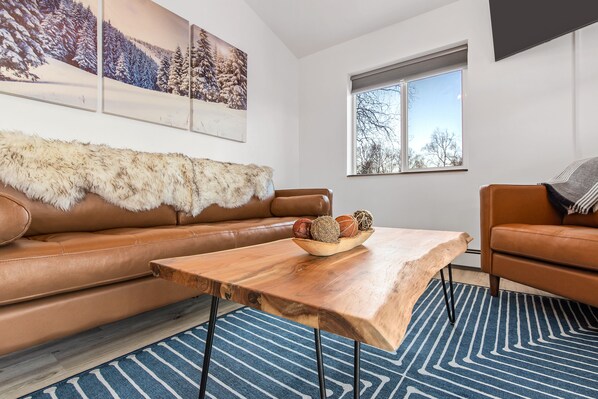 Smart TV, fireplace, books, stereo