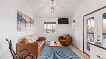 Smart TV, fireplace, books, stereo