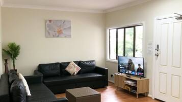 Smart TV, Netflix, streaming services