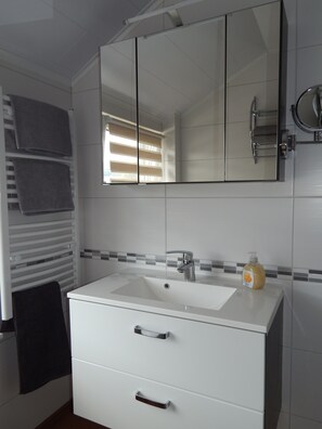 Shower, hair dryer, towels