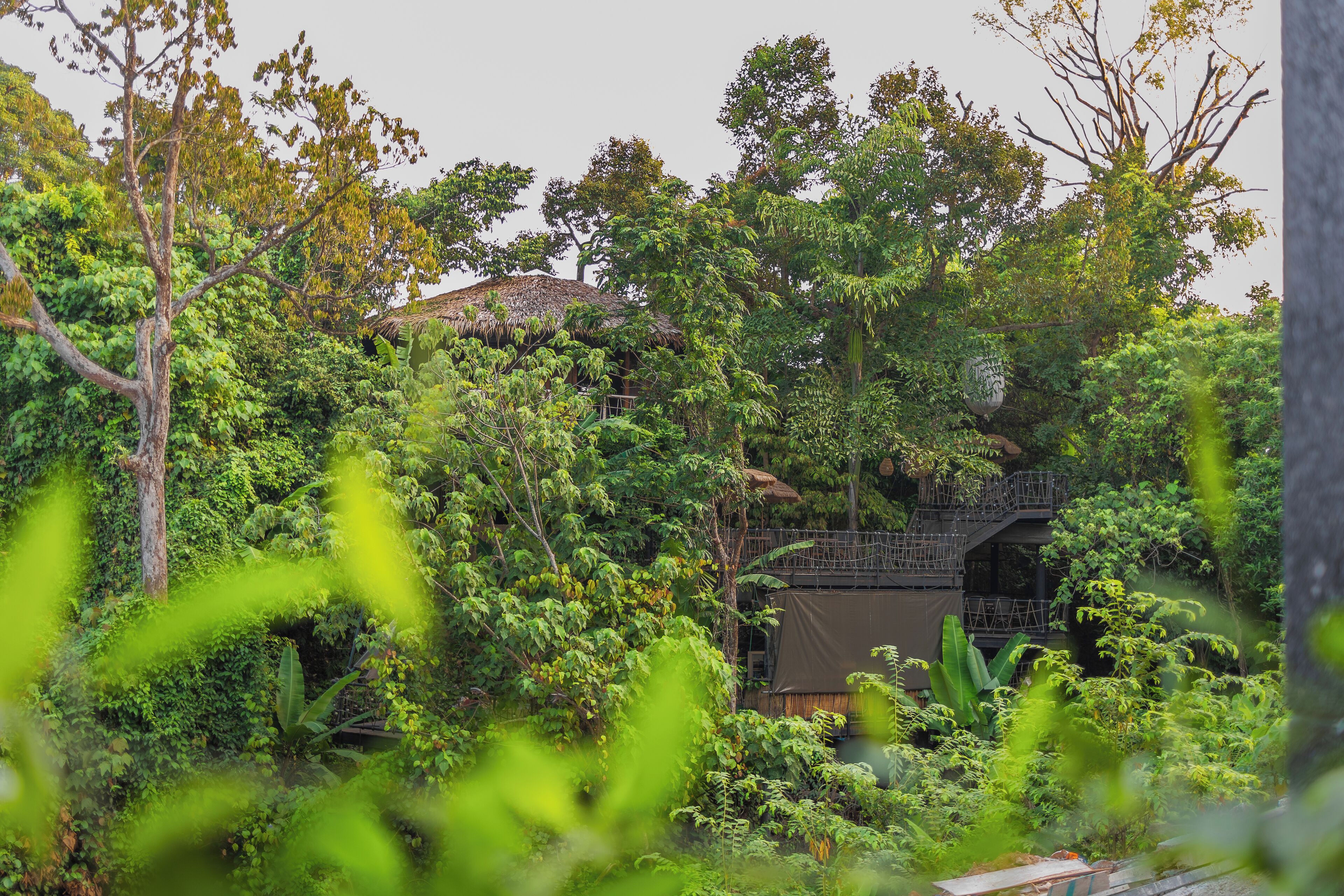 Un jardin luxuriant agrémenté d’une structure au toit de chaume et d’un escalier en bois menant à un niveau supérieur.