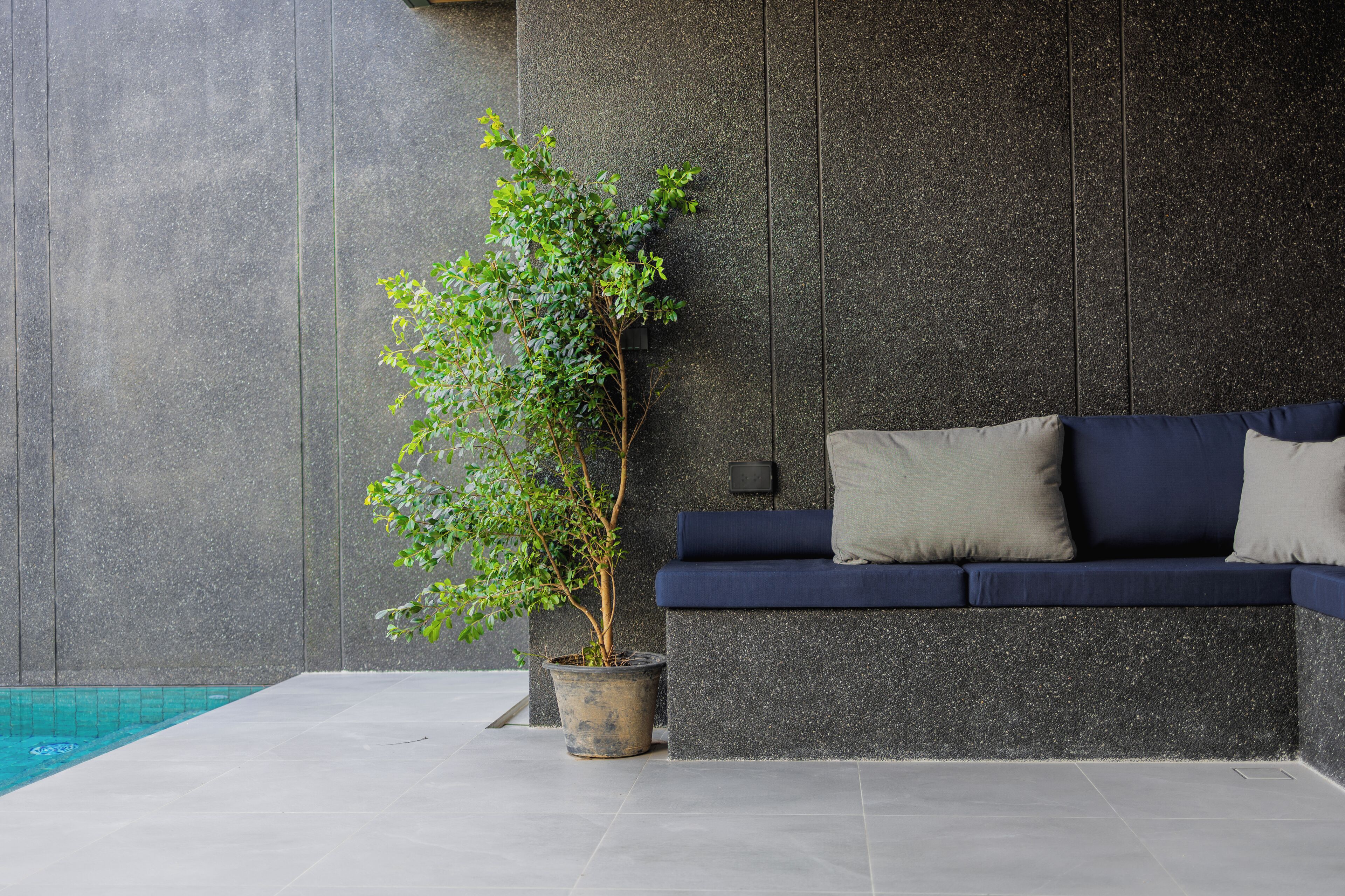 Un espace intérieur moderne avec un mur en pierre sombre, une plante en pot et un canapé bleu foncé agrémenté de coussins.