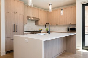 Microwave, oven, stovetop, dishwasher - Mountain Modern Condo Near Downtown Ketchum with Private Deck, Mountain Views (Ketchum)