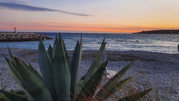 A coastal scene with a rocky breakwater, calm sea, and a sunset.