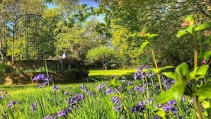 Een tuin met een metalen trelliskonstructie, weelderig groen gras en paarse bloemen.