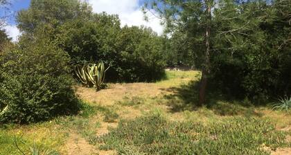 Charming Studio, quiet, close to the sea