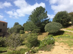 A hillside with various trees and shrubs, a dirt path, and a building with a red-tiled roof. - Charming studio, quiet, close to the ocean (Vigianello Propriano)