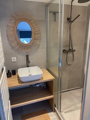 Shower, hair dryer, toilet paper