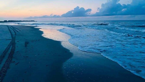 Uma praia com um caminho de areia que leva à água, ondas suaves batendo na costa, e um céu claro acima.