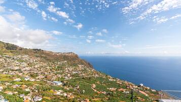 Un pueblo costero con casas y viñedos, con vistas al mar.