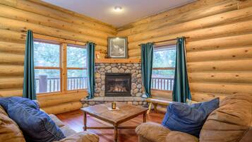 TV connectée, cheminée, lecteur de DVD, livres