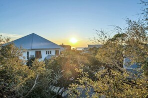 Set amidst lush greenery, this single-story house offers a serene retreat.