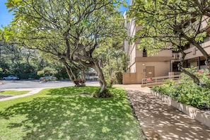 A well-maintained lawn with a tree, a sidewalk, and a building with a gated entrance.