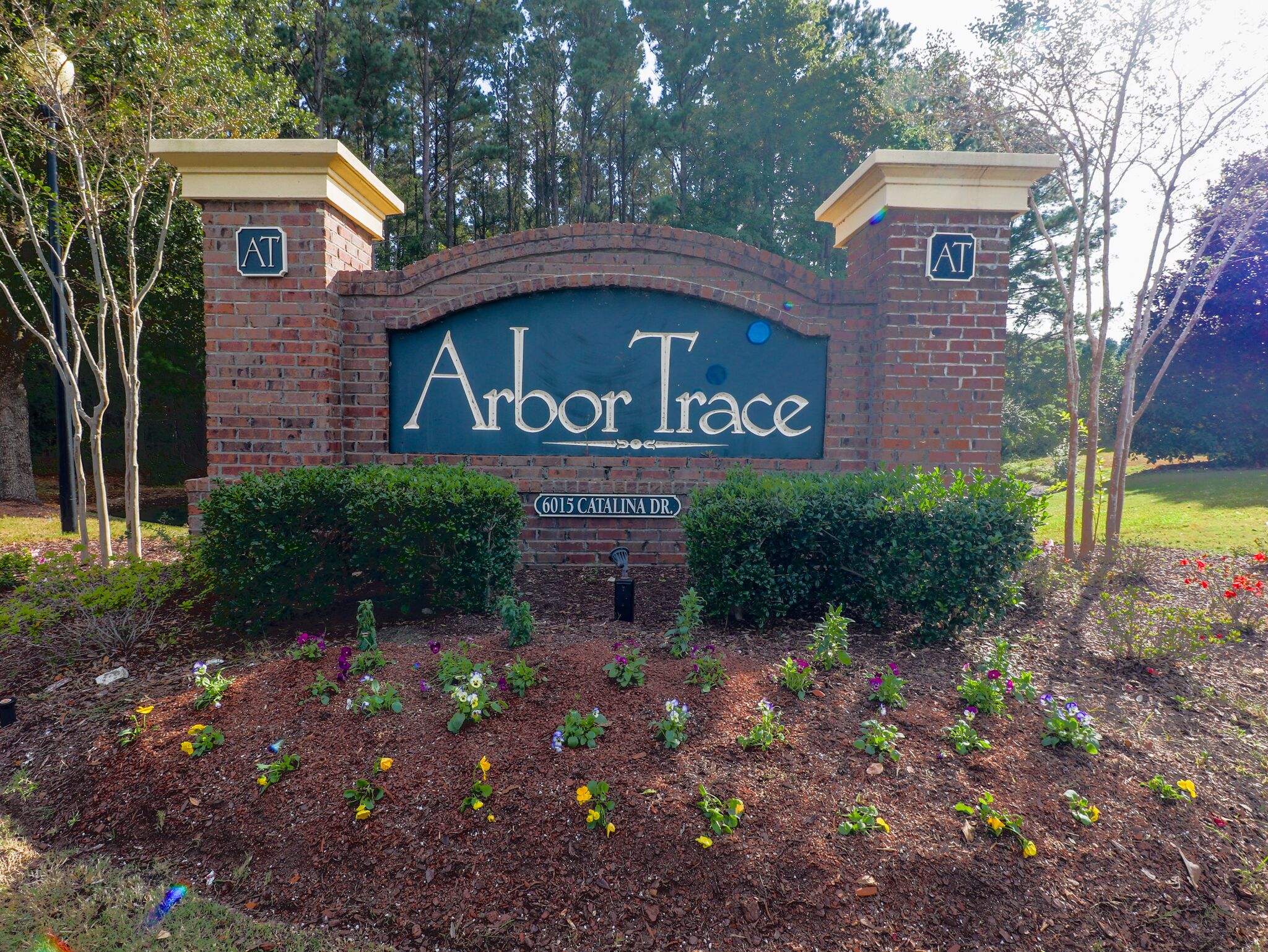 A brick entrance with a sign reading "Arbor Trace" and a street sign "6015 Catalina Dr."