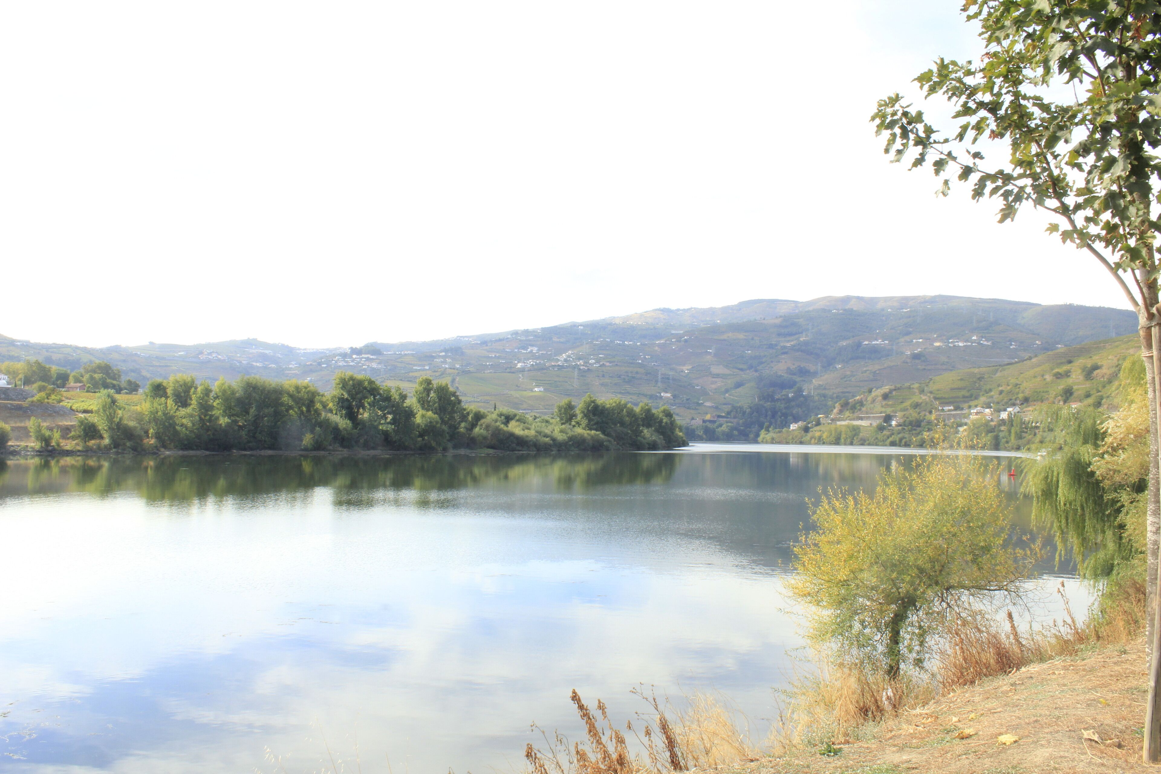 Photo - Residencial Douro