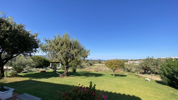 A well-maintained garden with a variety of trees and shrubs, a clear blue sky, and a distant view of houses. - VILLA MACCIONI 2  (Tanaunella)