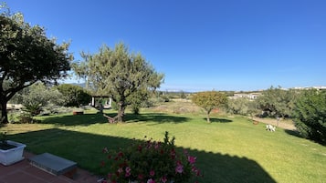 Parco della struttura