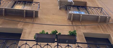 Detalle del exterior