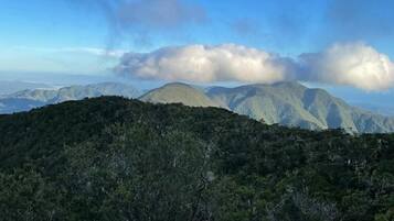 Hiking