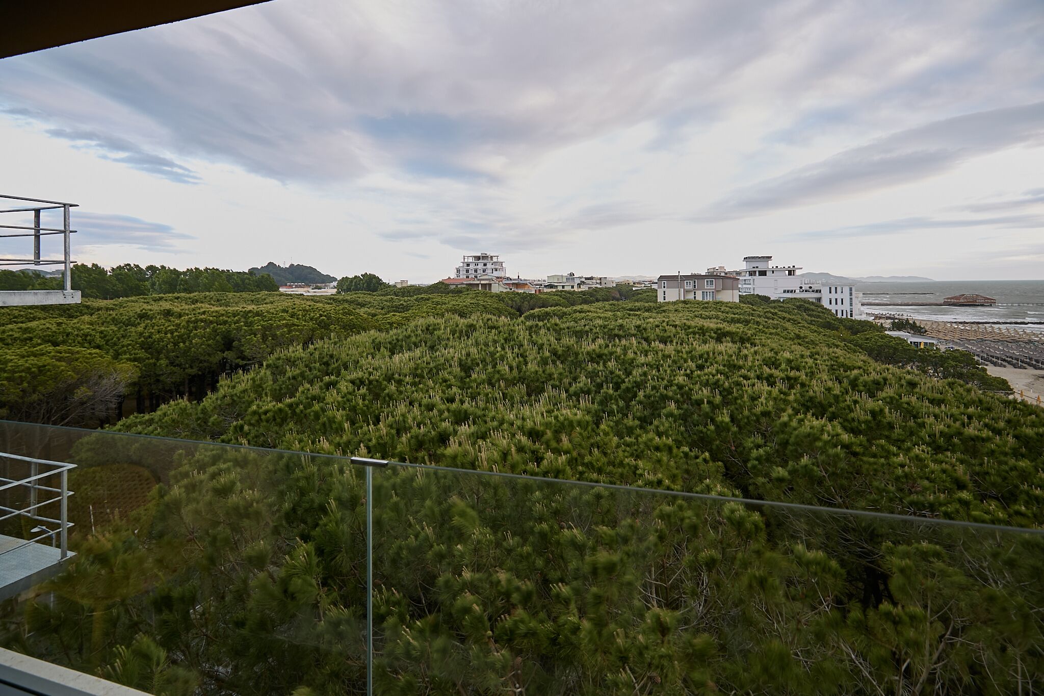 A coastal landscape with dense greenery, a clear sky, and buildings in the distance.