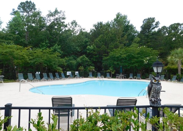 Ein Swimmingpool mit Liegestühlen und einer dekorativen Eulenstatue.