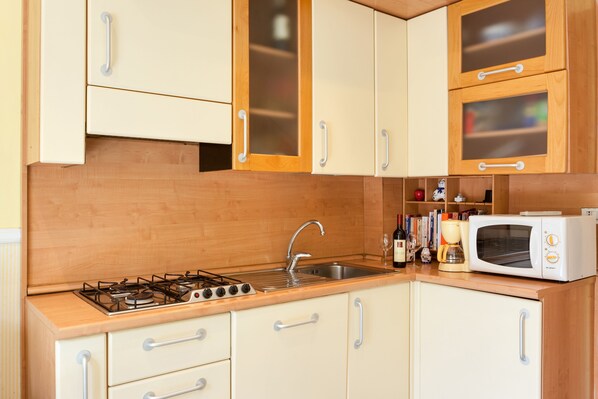 Fridge, microwave, stovetop, dishwasher