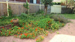 A garden with a variety of plants and flowers, a brick pathway, and a wooden fence.