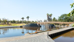 A wooden bridge over a calm water body with a paved walkway, surrounded by greenery and palm trees. - Bridgewater One Studio Apartment | DSTV | Fibre (Cape Town)