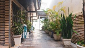 A narrow corridor with potted plants on both sides, leading to a building entrance. - Agua Marinha de Bombas - Bombinhas (Bombinhas)
