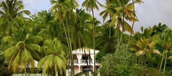 St. James Platinum Coast #5 Upper