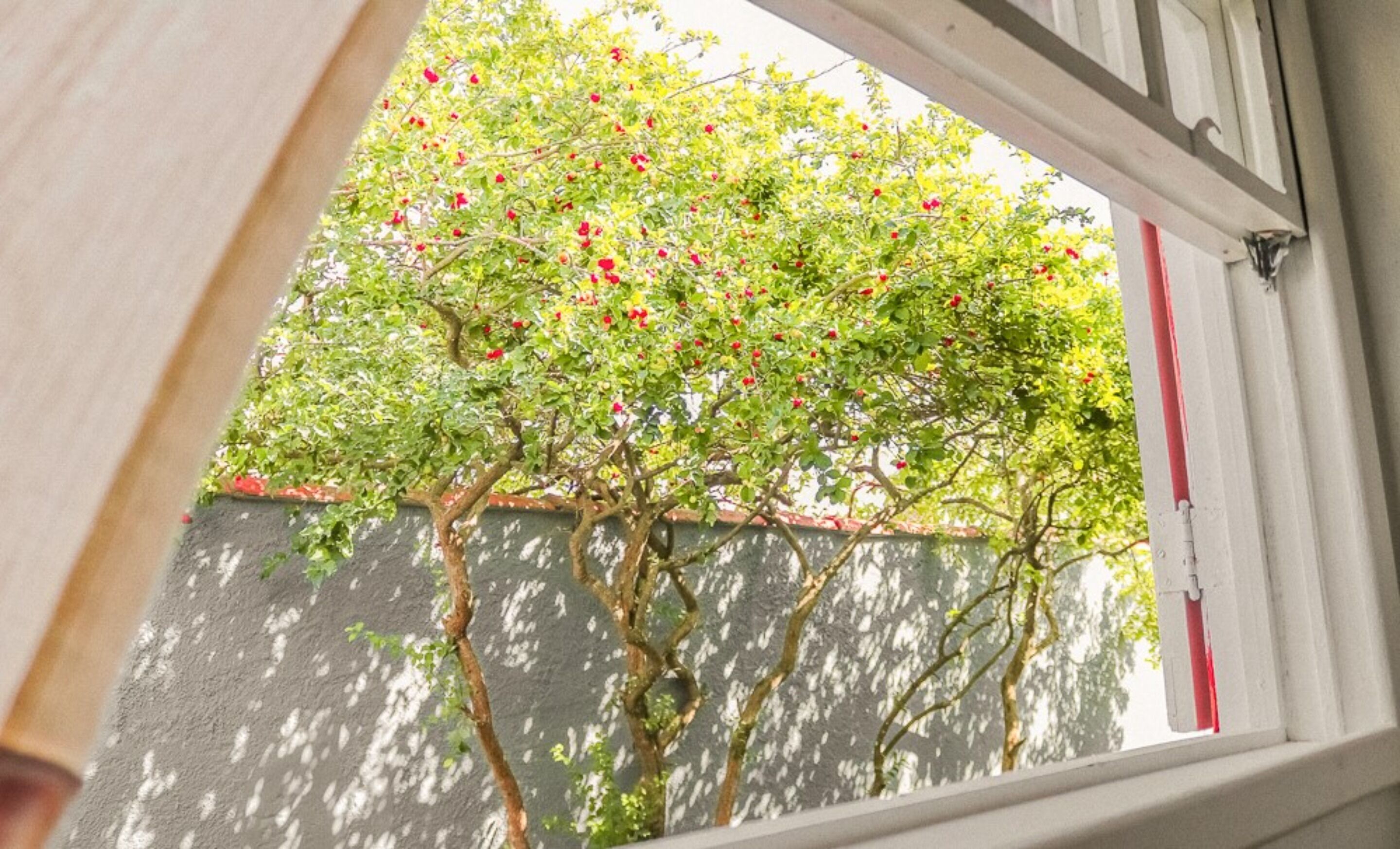 Foto - Pousada Jardim de Búzios