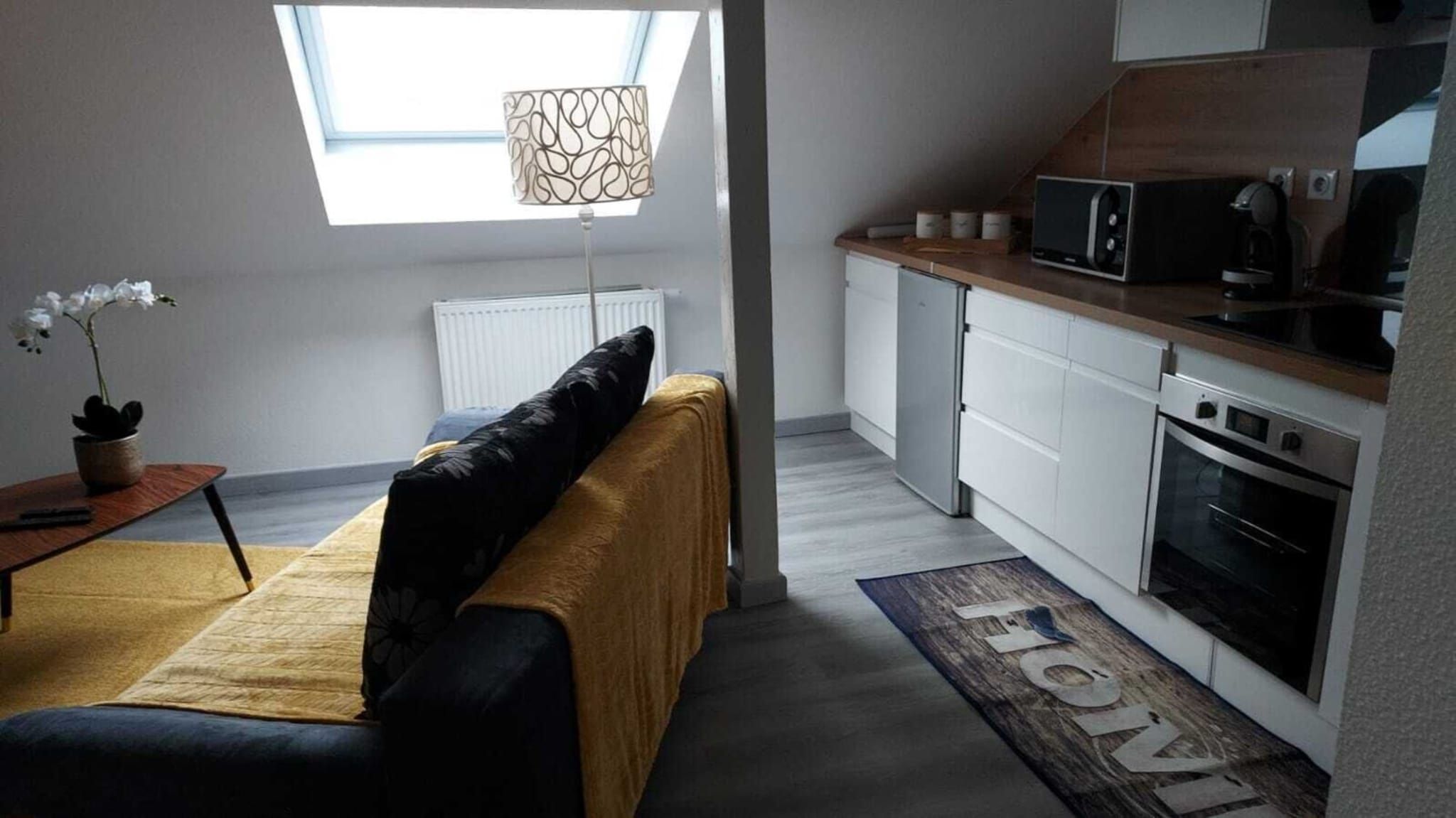 A compact living space with a kitchenette, a sofa with a throw blanket, a small table with a potted plant, and a window with a patterned shade.
