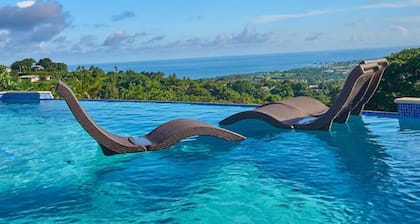 Eagle's Base Villa & Cottage - sleeps 26 guests