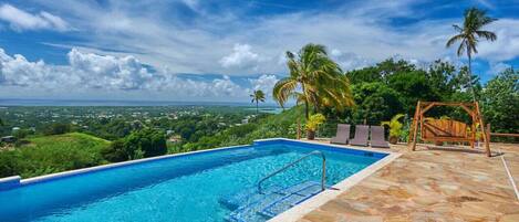 A swimming pool with a stone deck, palm trees, and a view of a distant landscape.