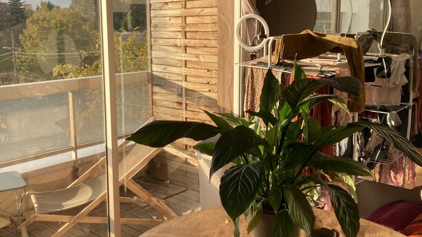 Een balkon met houten hekwerk, een tafel met een bloempot en uitzicht op bomen en lucht.