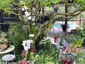 Terrace/patio - Charming Guest Quarters in Separate Building (Naples)