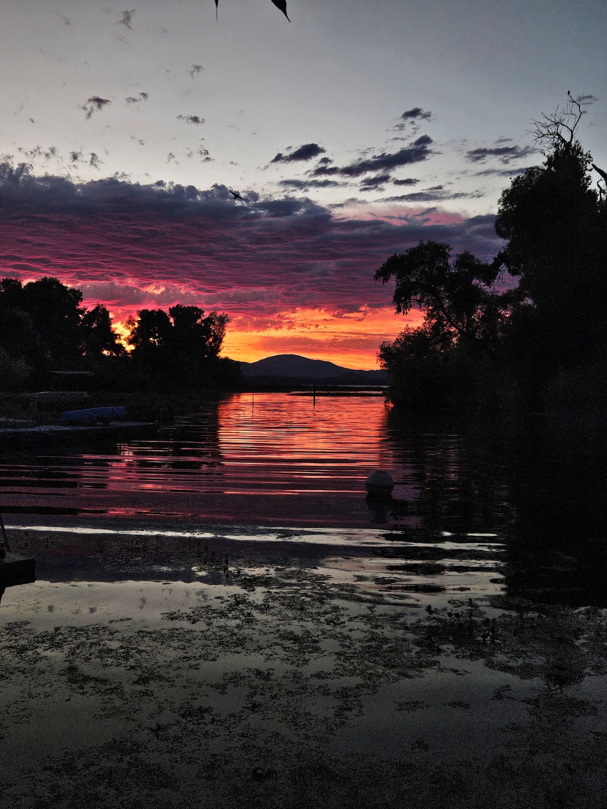 Imagen de perfil del propietario o de la propietaria