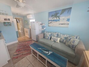 Smart TV - The Sea Turtle  (Nokomis)