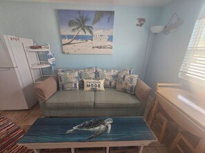 Smart TV - The Sea Turtle  (Nokomis)