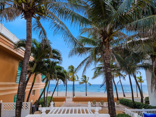 A beachfront view with palm trees, a sandy beach, and a building with a white fence.