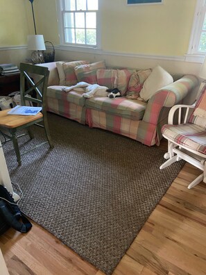 Smart TV, fireplace, DVD player, books