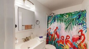 Hair dryer, towels, toilet paper - The Flamingo (Nokomis)